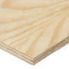 Shutterply Board BC Grade 18mm – 1220 × 2440mm